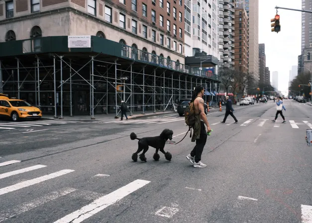 New York City, March 2025